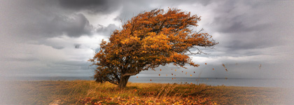 Как выглядит вера?