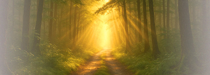 Как Божье Слово может изменить мою жизнь?